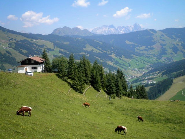 Saalbach - Hinterglemm, panorama 